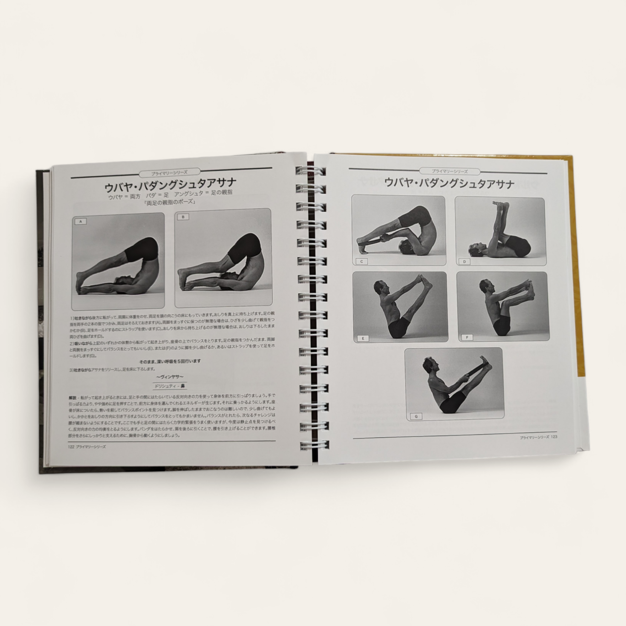 【送料無料】アシュタンガヨガセット